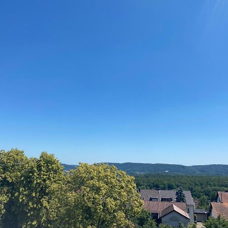 Moderne Ferien-Dachwohnung In Idyllischer Lage Neuweiler  エクステリア 写真