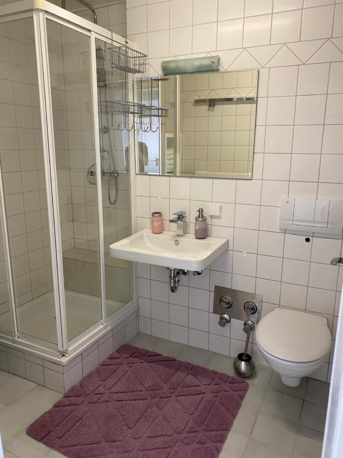 Moderne Ferien-Dachwohnung In Idyllischer Lage Neuweiler  エクステリア 写真